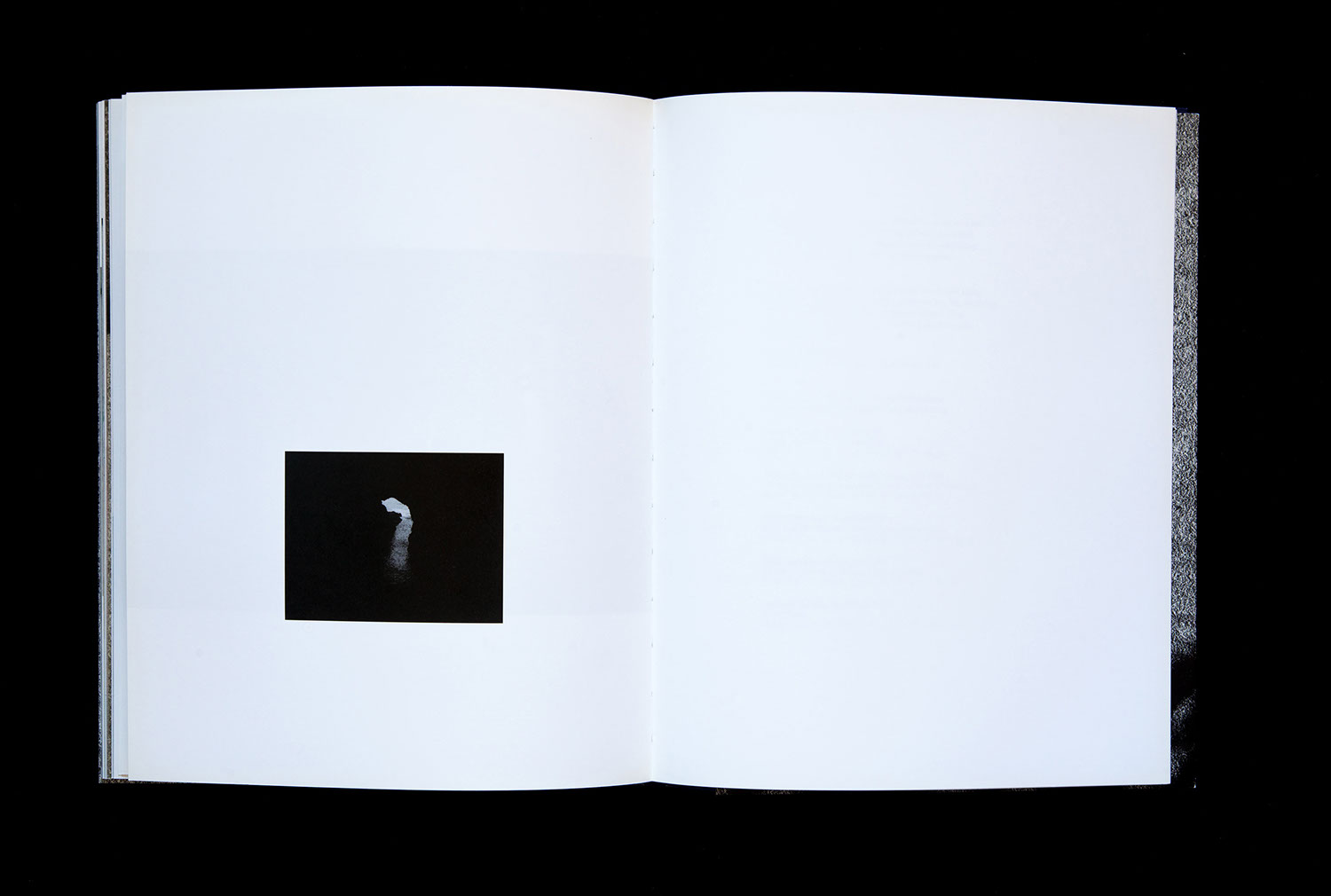 AM Projects - Abstracts