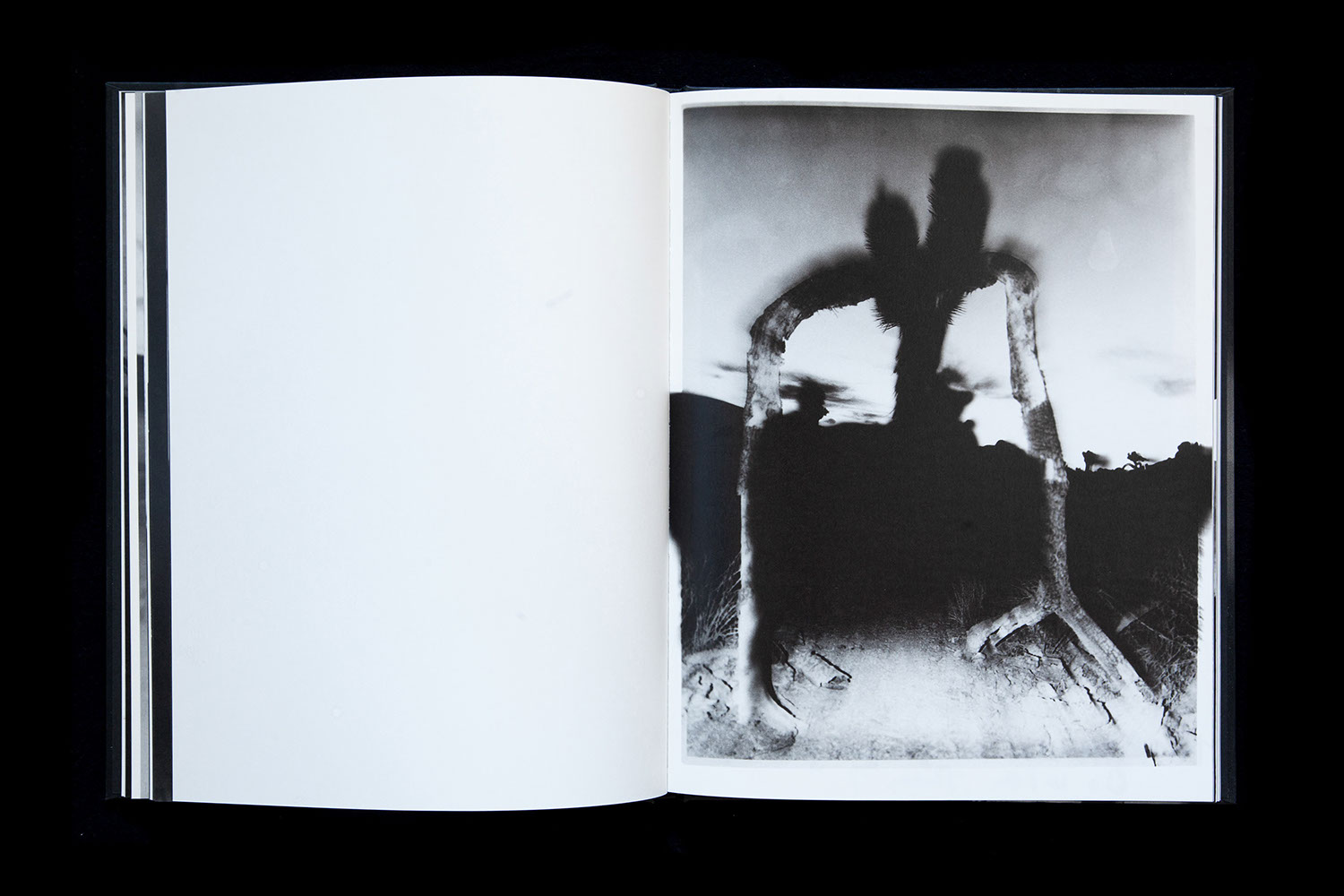 Chris Shaw - Horizon Icons