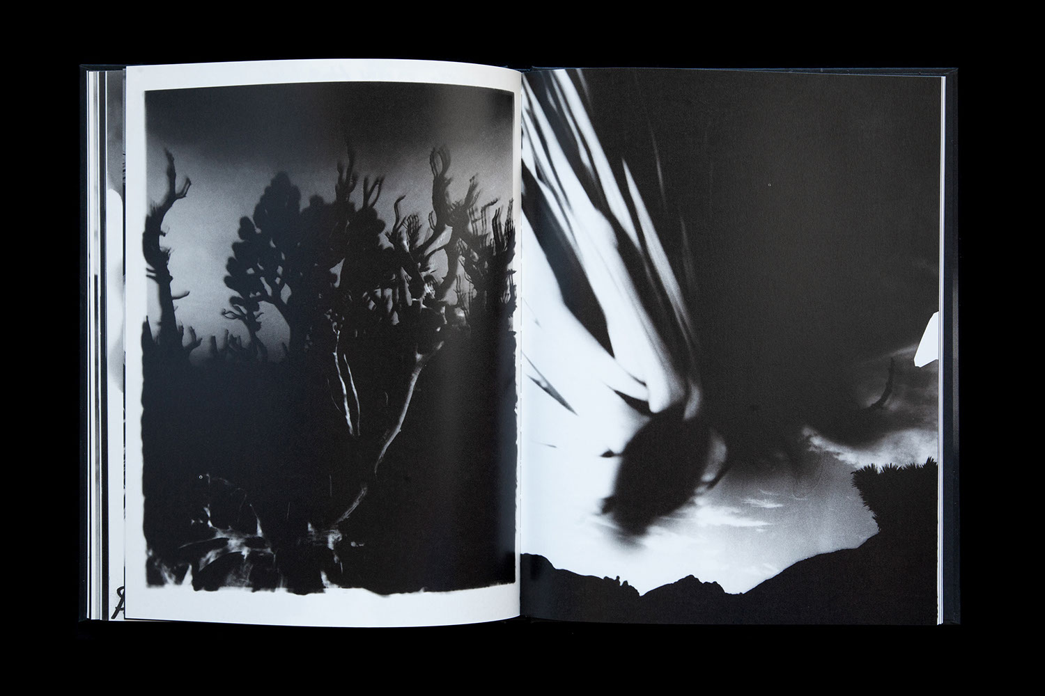 Chris Shaw - Horizon Icons