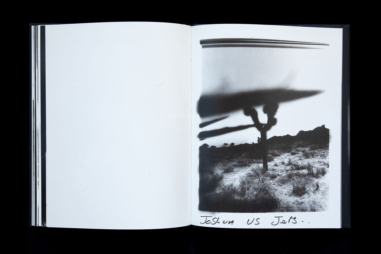 Horizon Icons / Chris Shaw : クリス・ショウ HORIZON ICONS by Chris Shaw [SIGNED] – twelvebooks