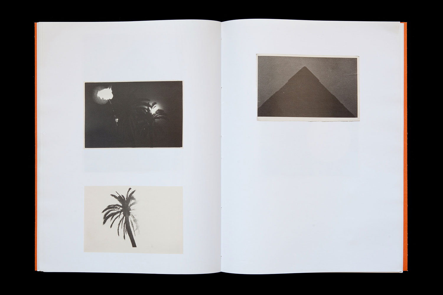 Silence Editions The Pyramids and Palm Trees test