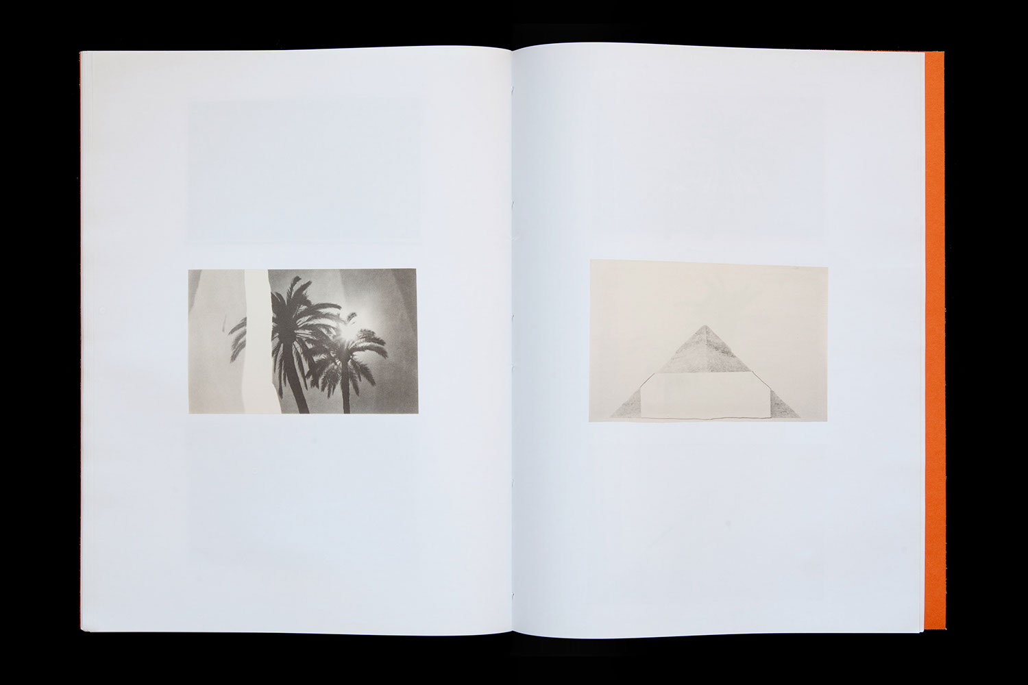 Silence Editions The Pyramids and Palm Trees test